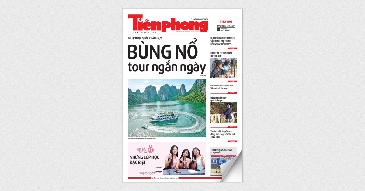 Tiền Phong số 229/2026