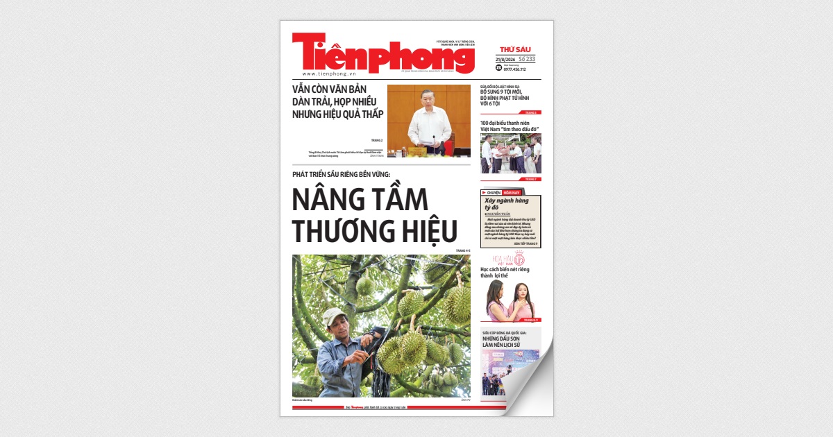 Tiền Phong số 233/2026