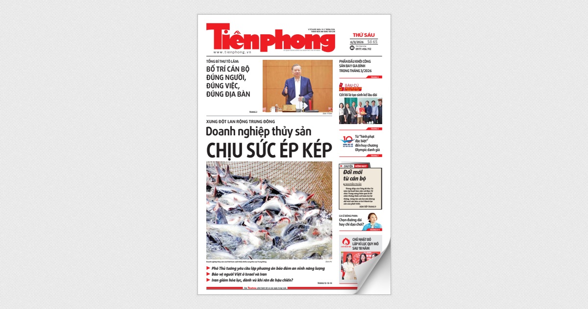 Tiền Phong số 65/2026