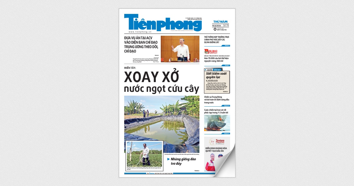 Tiền Phong số 78/2026